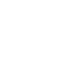 Accam Forge
